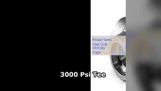 3000 Psi Mengurangi Tee Industri Tekanan Tinggi