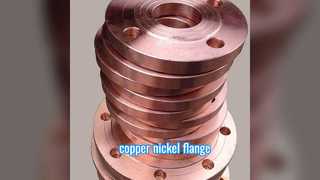 Flange Nikel Tembaga – Solusi Kekuatan Tinggi dan Tahan Korosi untuk Perpipaan Kelautan & Industri