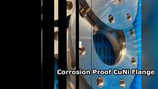 Penggunaan Bahan Kimia Flange CuNi 70/30