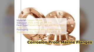 ASME B16.5 Tembaga Nikel Slip Pada Pipa Laut Flange
