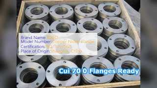 Cui 70 0 SW Flange Forged ASME B6 Cl 0 Siap