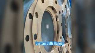Flensa CuNi C70600 Kustom Kelas 300