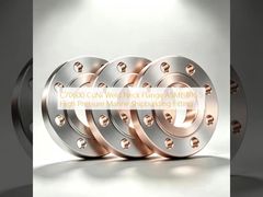 C70600 CuNi Weld Neck Flange Solusi Kelautan Tekanan Tinggi