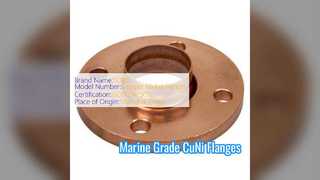 Flange Las Soket CuNi 70 30 yang Tahan Lama untuk Sistem Kelautan