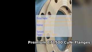 C71500 CuNi 70 30 Weld Neck Flange Kualitas Tempa Premium