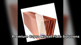 Solusi Pelat Nikel Cupro C70600 C71500 Berkualitas Tinggi