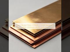 Lembaran Nikel Cupro Berkualitas Tinggi C70600 C71500 Industri
