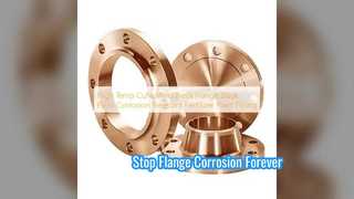Flange Leher Las CuNi Tahan Korosi untuk Tanaman Pupuk