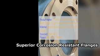 C71500 CuNi 70 30 Solusi Kekuatan Tinggi Flange Leher Las