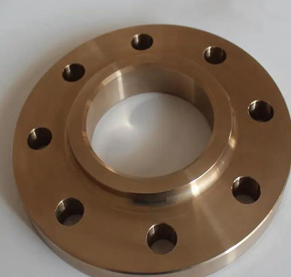 Jadwal 40 Pipe Fitting Flange Plate Flat Weld Copper Nickel Flange Forged Fange